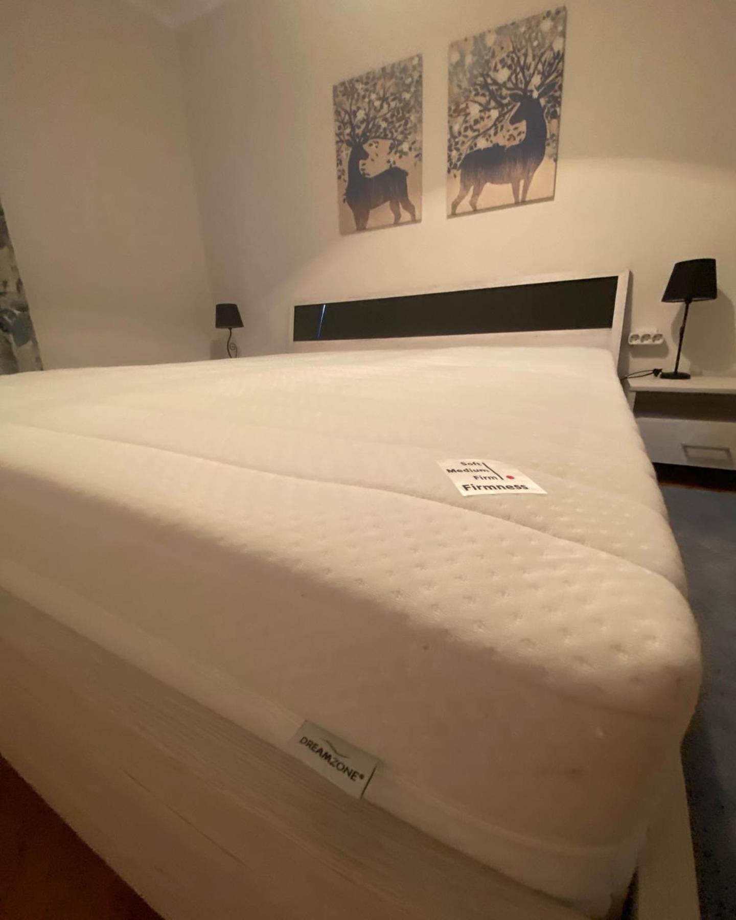 Apartman Colapis- Netflix, Self Check In, Free Parking, Premium Location! Karlovac Εξωτερικό φωτογραφία